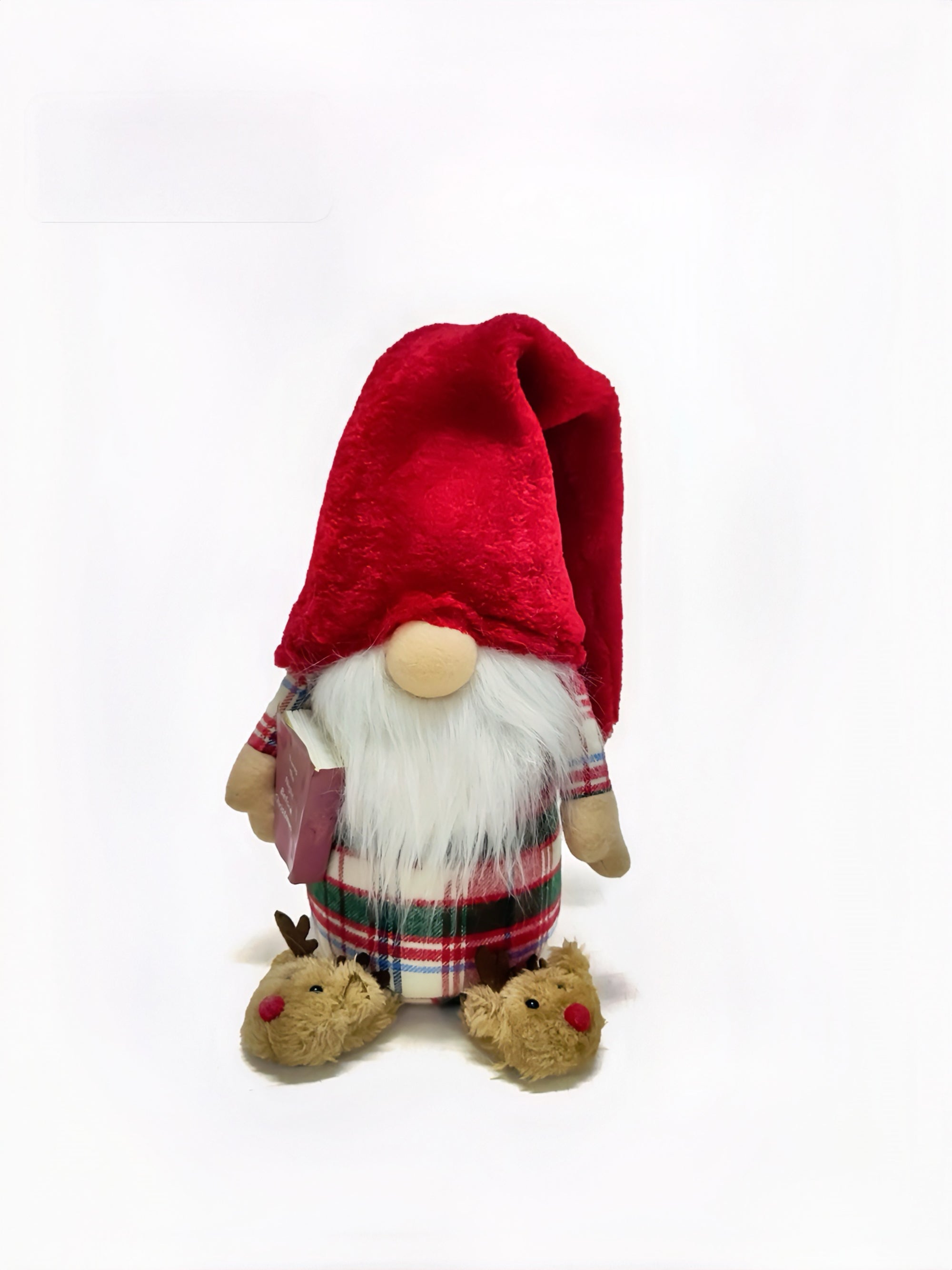Gnome with a Book and Slippers