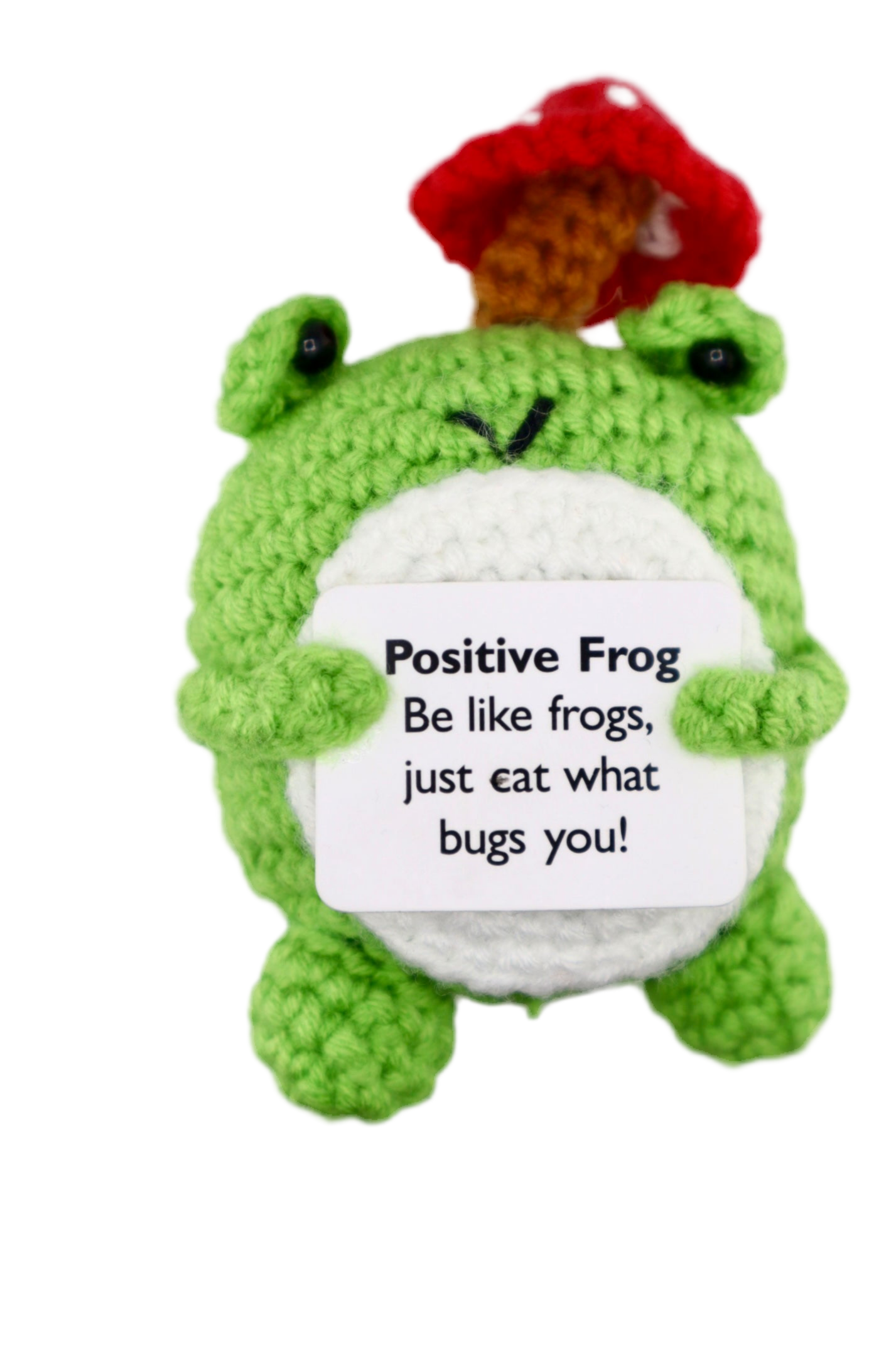 Fun-guy Frog
