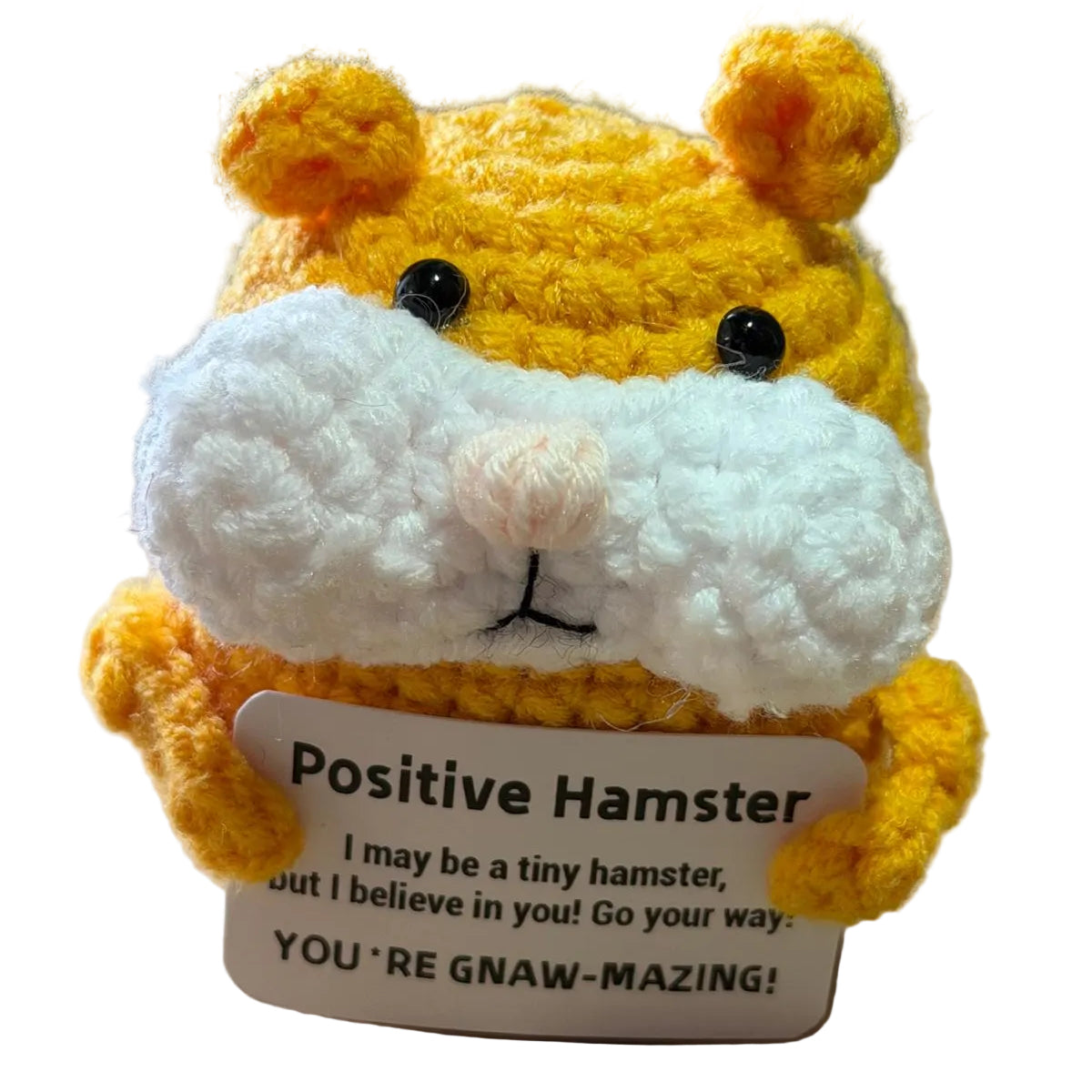 Positive Hamster