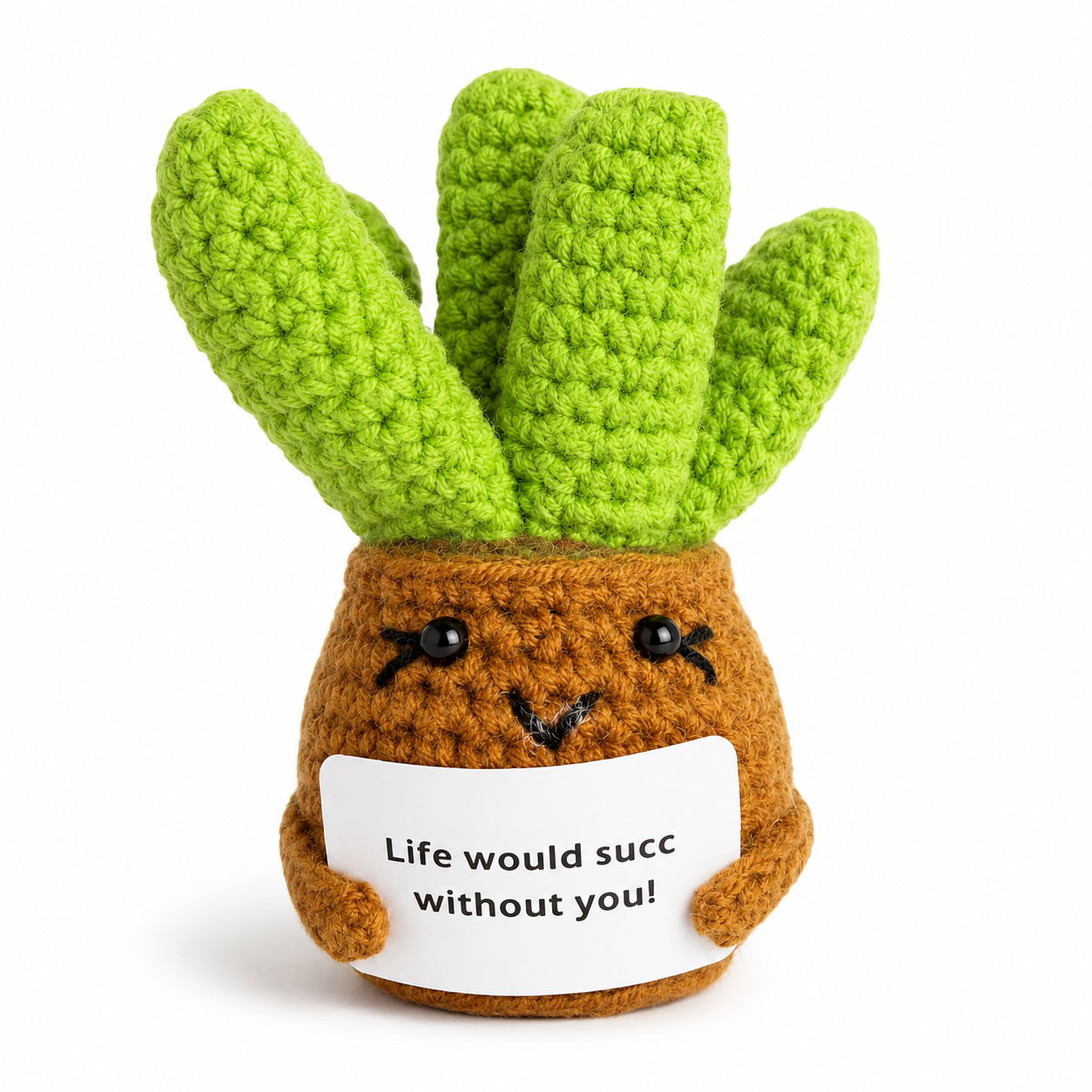 Positive Succulent