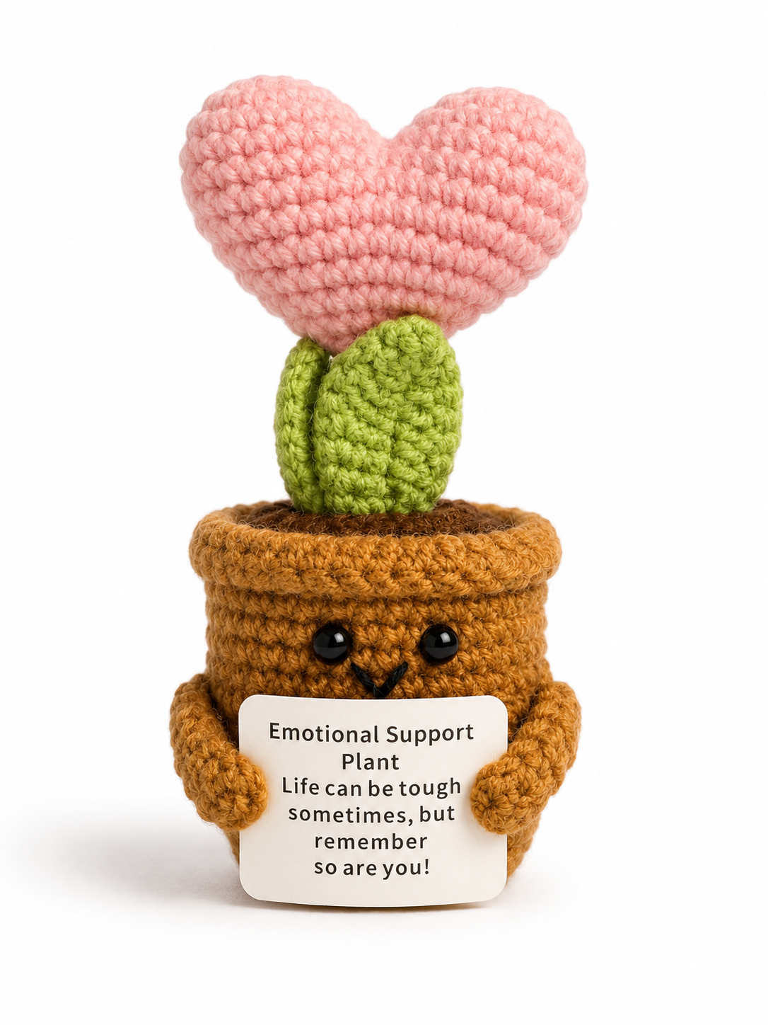 Positive Pink Heart Plant