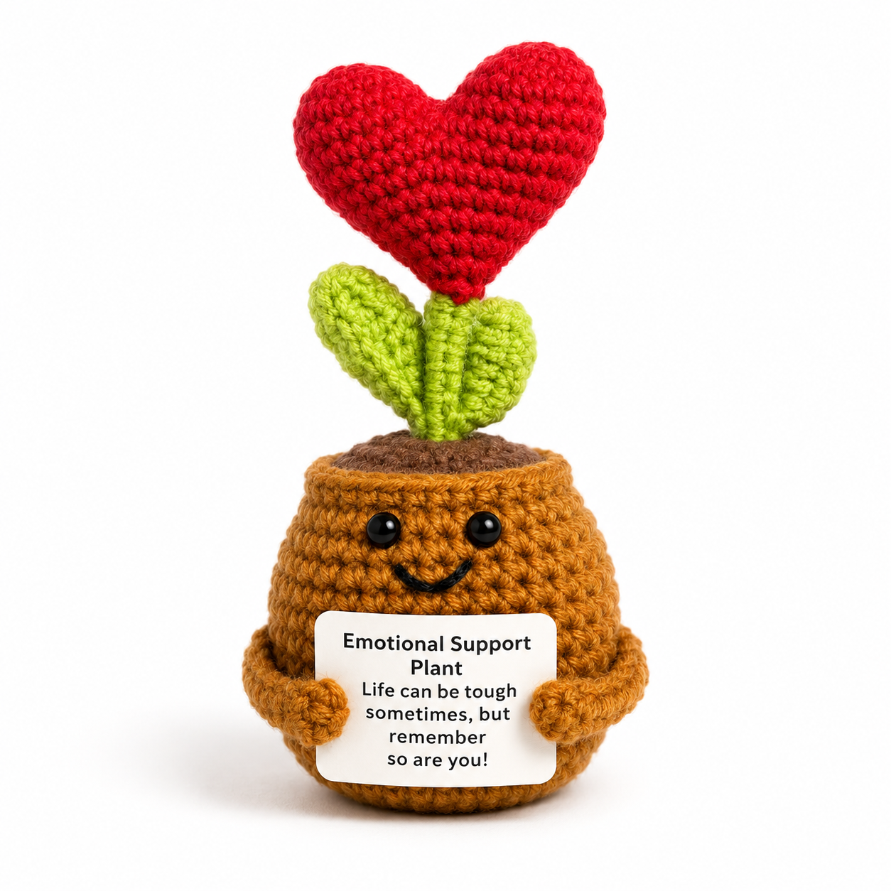 Positive Red Heart Plant